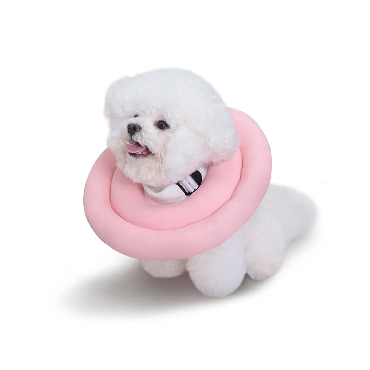 회복 개 엘리자베스 콘 칼라 엘리자베스 고양이 애완 동물 칼라